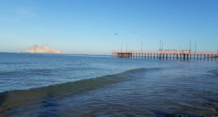 Cierran Puerto de Bahía de Kino por oleaje alto y fuertes vientos. Foto Twitter @ProyectoPuente