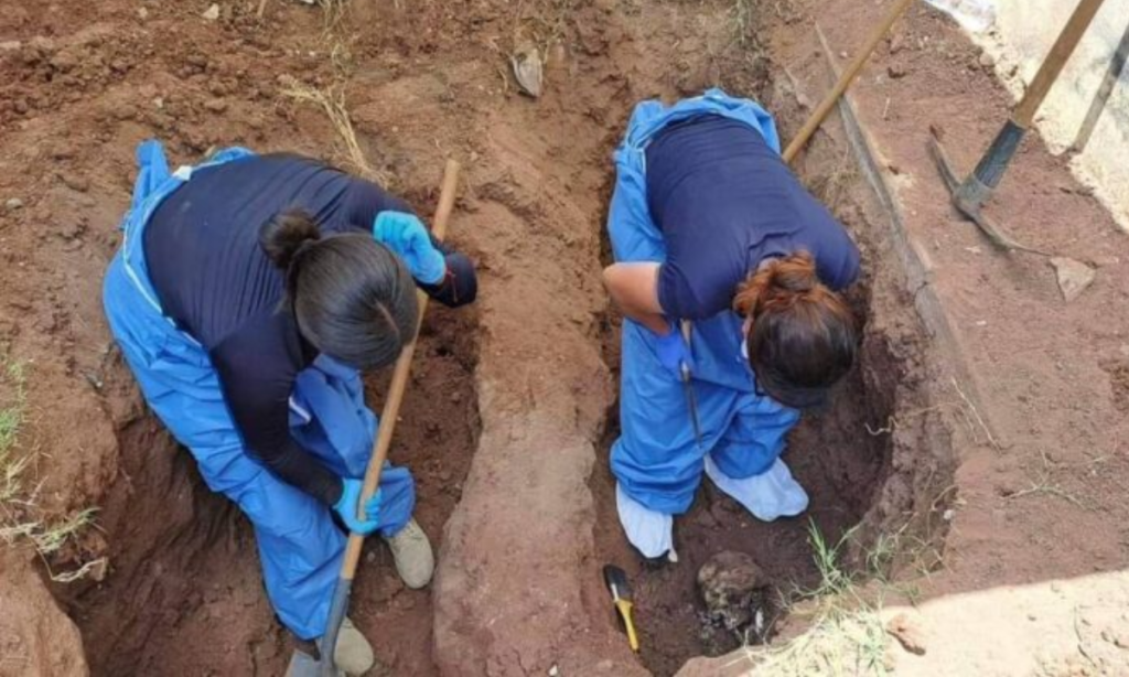 Descubren "cementerio oculto" en una casa abandonada en Ciudad Obregón. Foto: Rastreadoras de Ciudad Obregón, Sonora