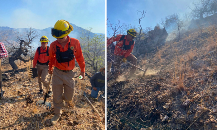 Sofocan incendios forestales en Yécora y Nogales