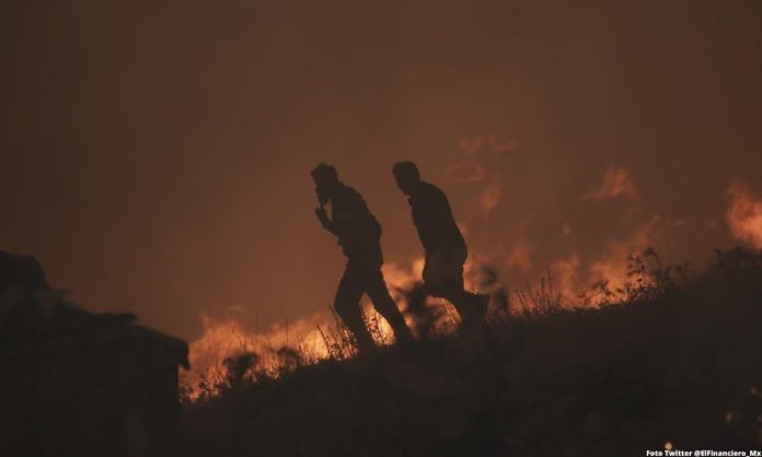 Hallan 26 cuerpos carbonizados en bosque arrasado por las llamas en Grecia. Foto Twitter @ElFinanciero_Mx