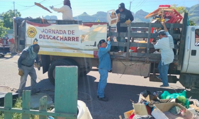 En Guaymas trabajan unidos contra el dengue, zika y chikungunya