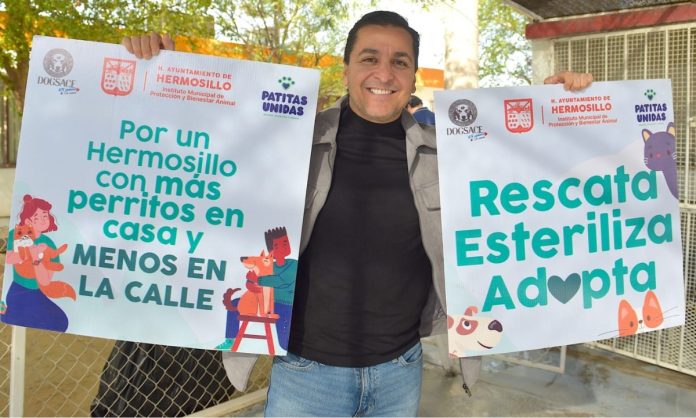 Cuadruplicó Ayuntamiento de Hermosillo esterilizaciones a mascotas en 2023