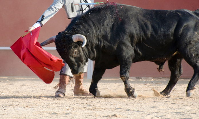 Vuelven las corridas de toros a la Plaza México