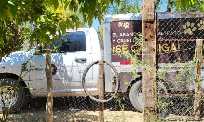 Hallan animales lesionados y sin vida en rancho de colonia La Manga en Hermosillo