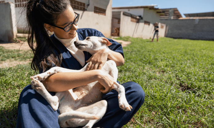 ¡Hermosillo se Transforma con Nuevas Clínicas para el Bienestar Animal!**