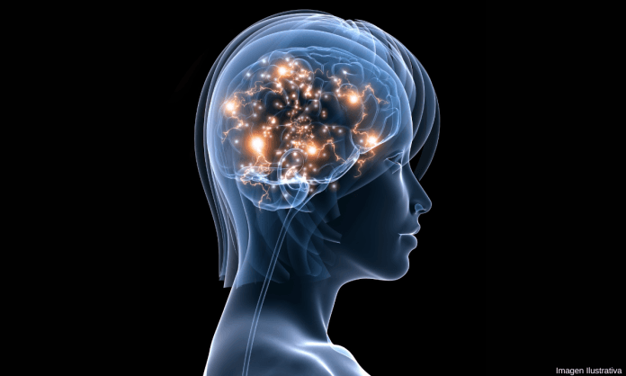 El embarazo modifica el funcionamiento del cerebro de la mujer