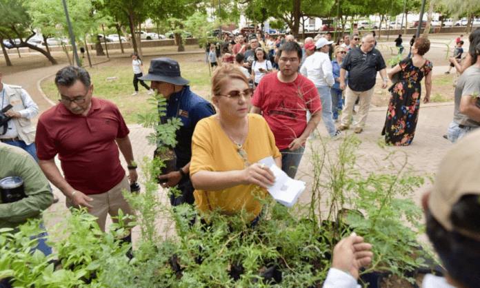 ¿Quieres un árbol nativo?acude al Vivero Municipal ¿Quieres un árbol nativo?acude al Vivero Municipal