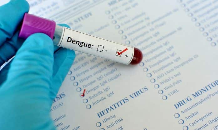 Nogales, segundo municipio con más casos de dengue en Sonora. Nogales, segundo municipio con más casos de dengue en Sonora.