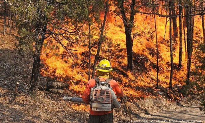 incendios forestales