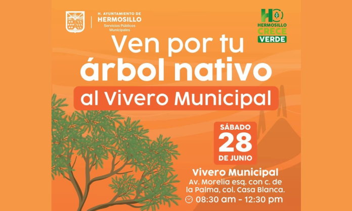 Se donarán árboles nativos el próximo sábado en el Vivero Municipal de Hermosillo