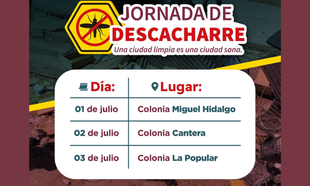 ¡Fuera criaderos! Guaymas lanza jornada intensiva de descacharre contra el dengue, zika y chikungunya
