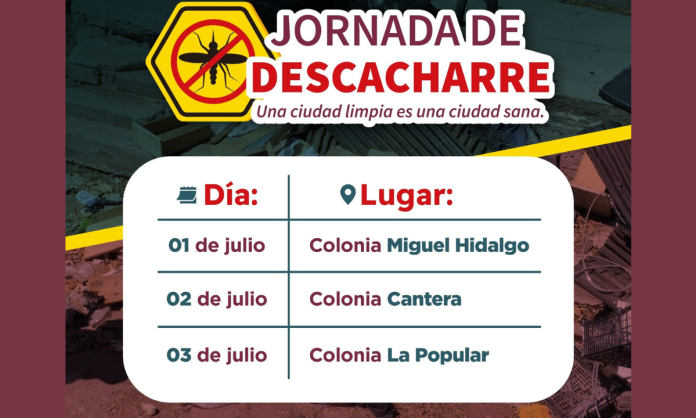 ¡Fuera criaderos! Guaymas lanza jornada intensiva de descacharre contra el dengue, zika y chikungunya