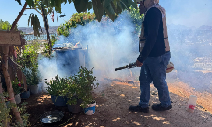 Realizan acciones preventivas contra el dengue en el sector Centro