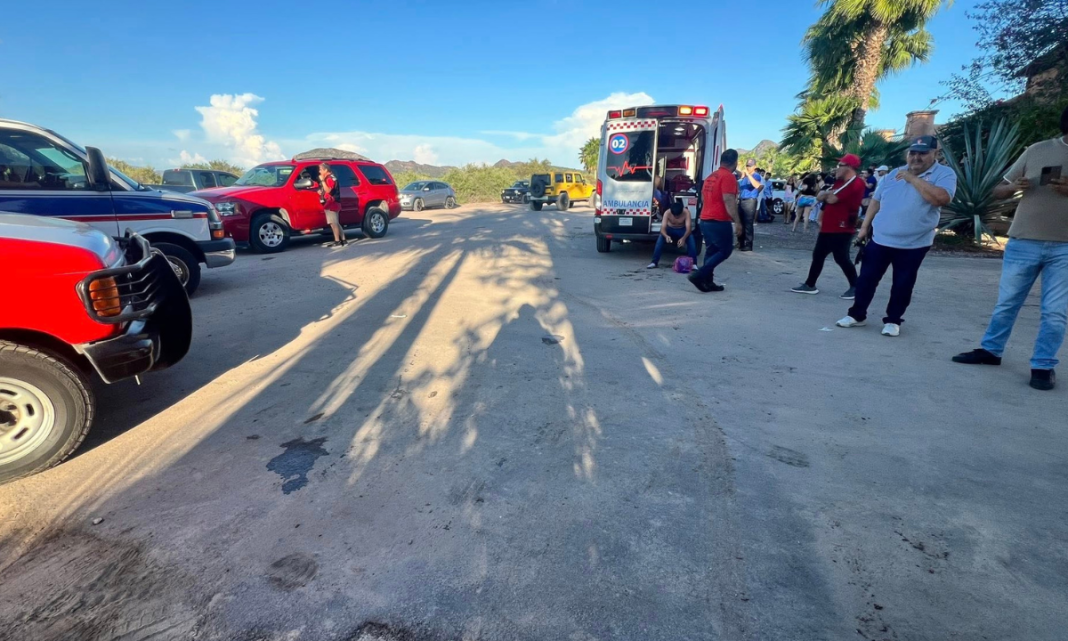 Atención a reporte por presencia de abejas en Playa Bahía Delfín