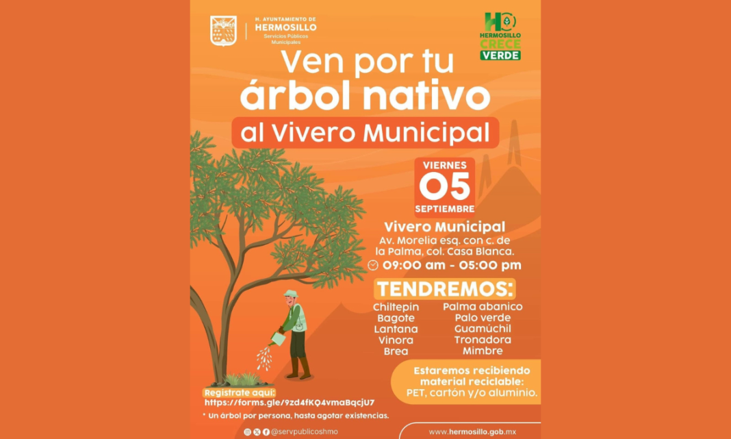 Realizará Gobierno Municipal una jornada más de donación de árboles nativos el próximo viernes