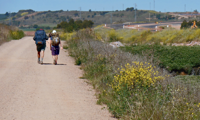 Denuncian intoxicación de peregrinos en carretera Nogales-Imuris, preocupa la falta de respuesta de las autoridades