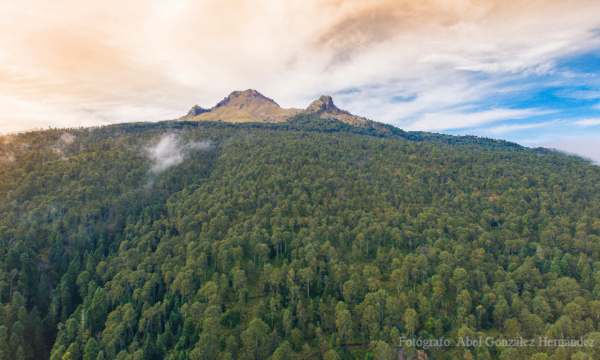 La malinche