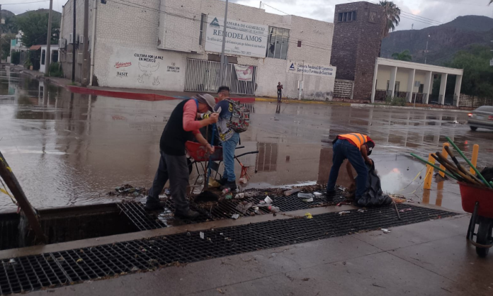 Guaymas sigue en limpieza Guaymas sigue en limpieza