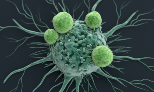 Vacuna desarrollada por la UNAM promete frenar el cáncer de mama y eliminar metástasis