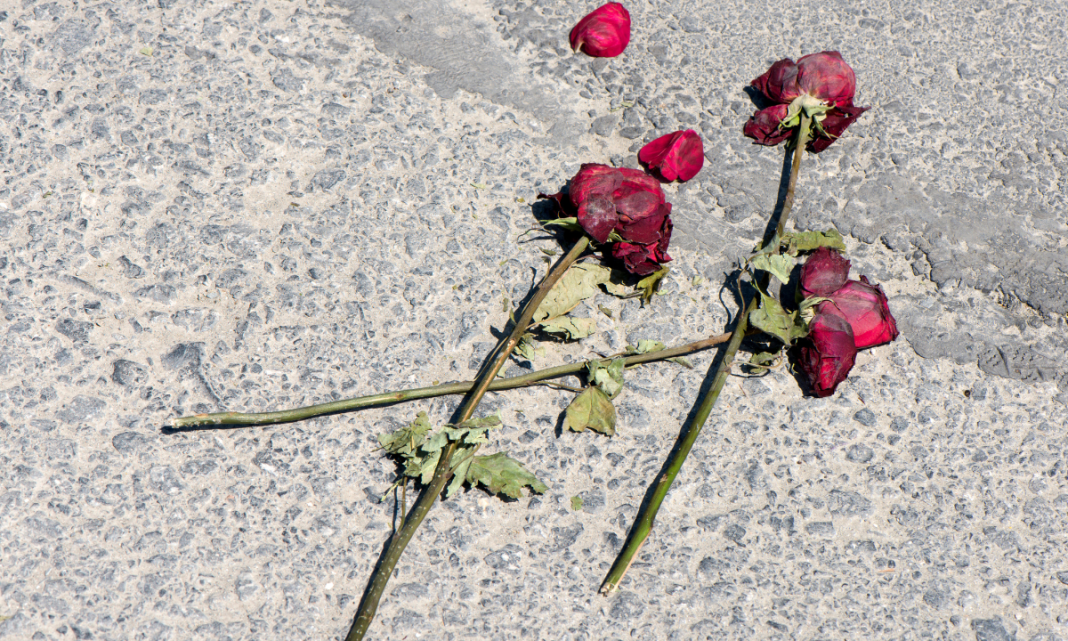 Presenta Sheinbaum ley general para homologar el delito de feminicidio en todo México