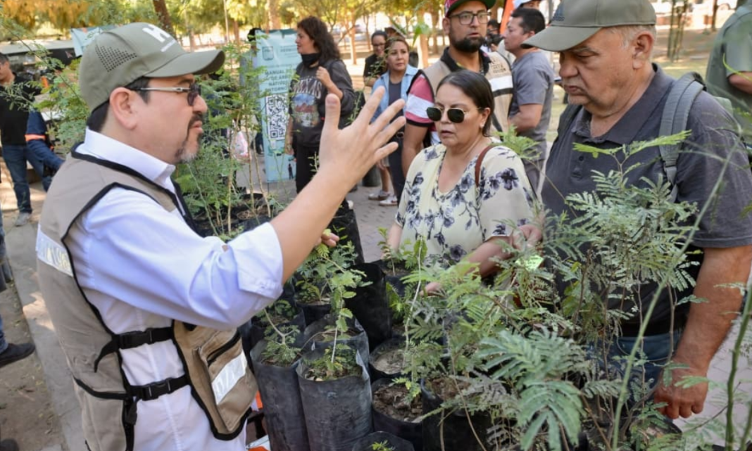 Promueve Municipio forestación de Hermosillo al donar mil árboles nativos por el Día del Árbol y Arbolado Urbano