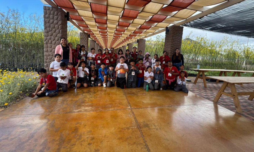 educación ambiental