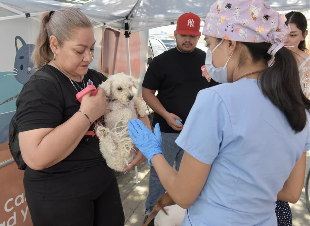 Llevará Gobierno de Hermosillo jornadas de castración gratuita a Zamora y Urbi Villa del Cedro